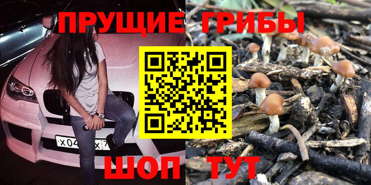 Тельмана  Псилоцибиновые грибы мухоморы  Вход с VPN  Псилоцибиновые грибы MAGIC MUSHROOMS 